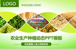 农业生产种植动态PPT模板