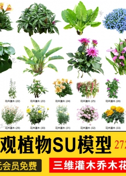 园林景观庭院植物三维真实花草树木乔木花卉灌木草图大...