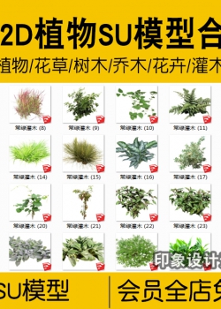 3D2D园林景观植物花草树木乔木花卉灌木草图大师SU模型库...