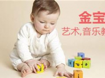 金宝贝全套2月更新(音乐、教材、视频）早教公开课 艺术...