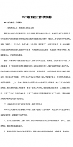 审计部门规范工作计划安排.docx