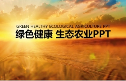 绿色健康生态农业展示PPT模板