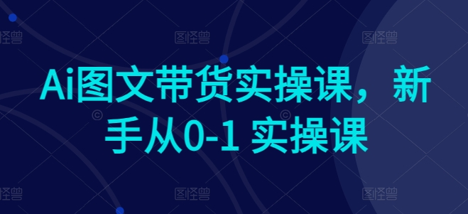 Ai图文带货实操课，新手从0-1 实操课